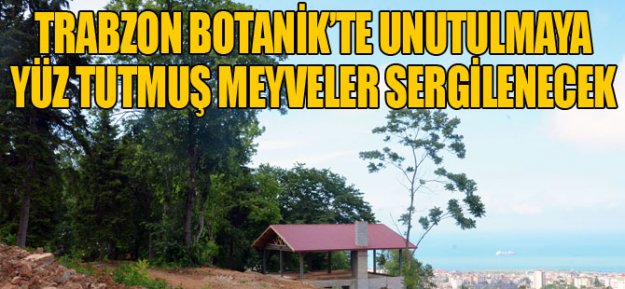 Trabzon Botanik'te Unutulmaya Yüz Tutmuş Meyveler Sergilenecek