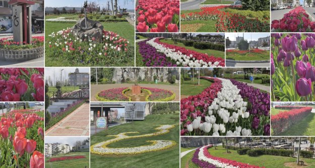 TRABZON ÇİÇEK BAHÇESİNE DÖNDÜ