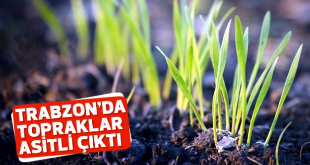 Trabzon'da topraklar asitli çıktı