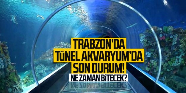 Trabzon'da Tünel Akvaryum'da son durum! Ne zaman bitecek?