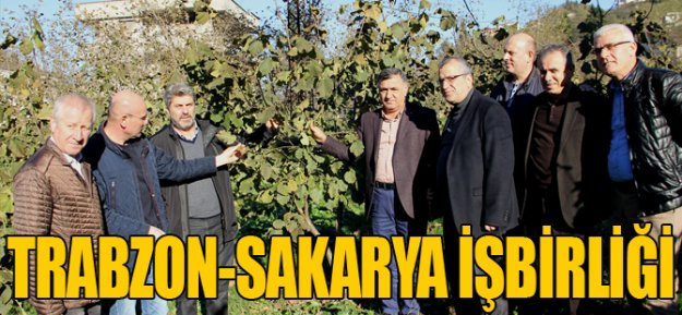 Trabzon ve Sakarya İşbirliği...