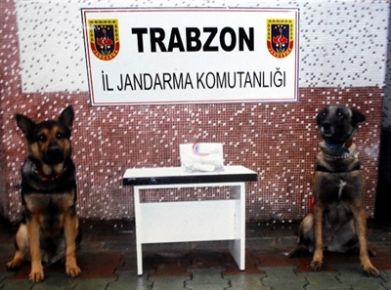 Trabzon'da Uyuşturucu Operasyonu