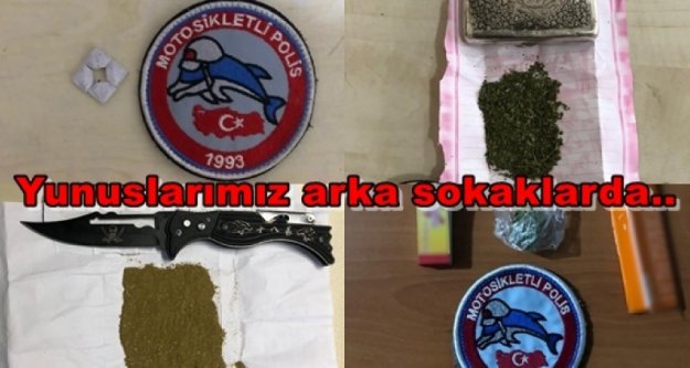 Yunuslarımız arka sokaklarda uyuşturucuya geçit vermiyor...