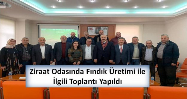 Ziraat Odasında Fındık Üretimi ile İlgili Toplantı Yapıldı